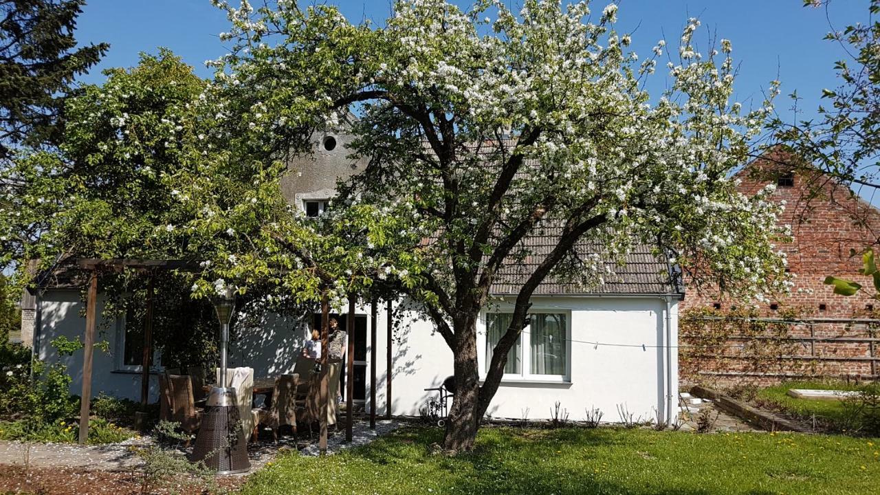 Agroturystyka U Karoliny Sarbinowo Exterior foto
